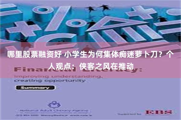 哪里股票融资好 小学生为何集体痴迷萝卜刀？个人观点：侠客之风在推动